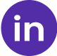 LinkedIn Icon 2